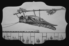 "The Grasshopper" 32x36 charcoal and graphite on paper 2012