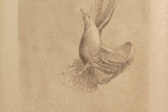 "The Effects of Gravity fig a" 24x36 graphite on wallpaper